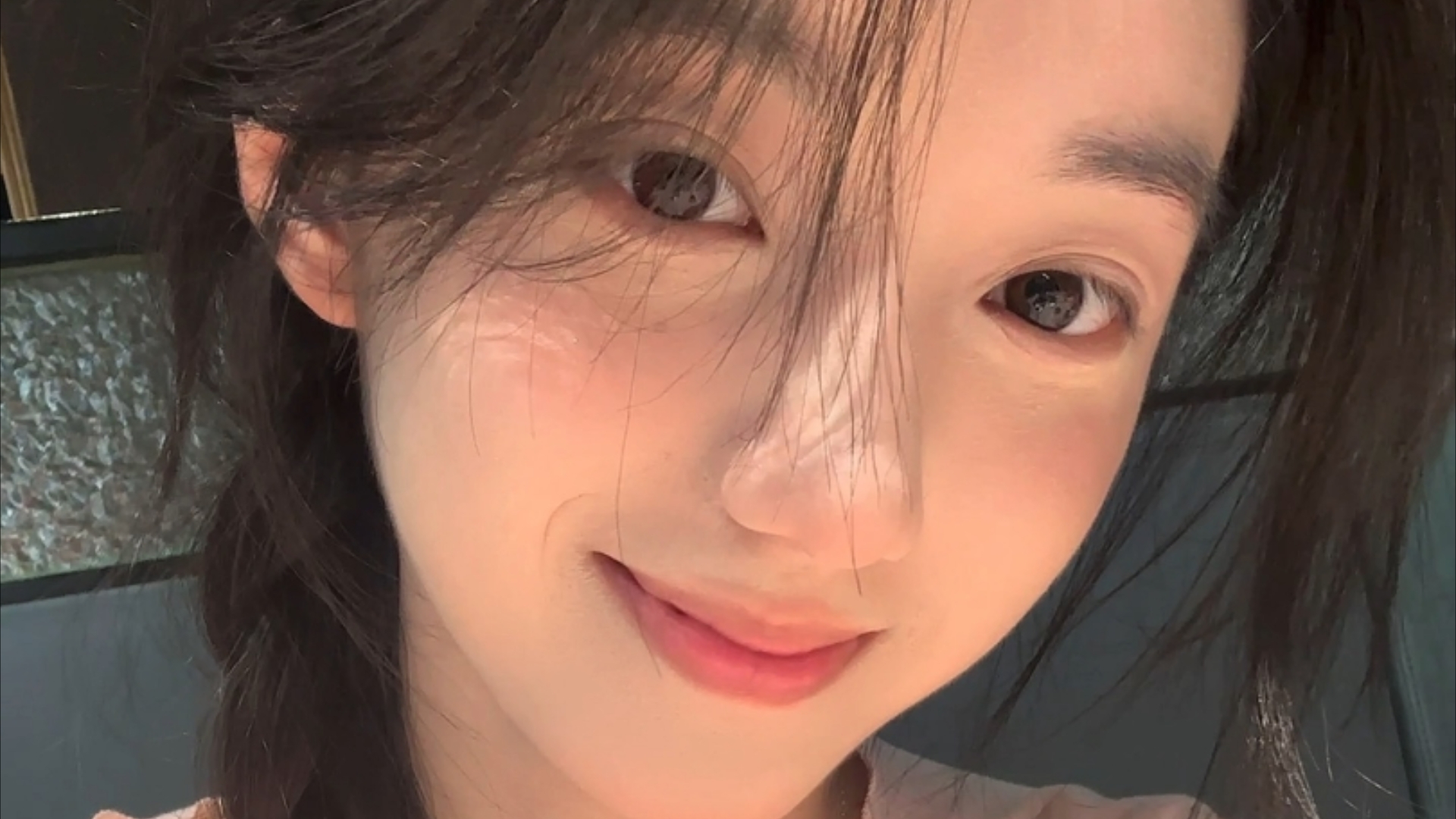 国家二级重点保护野生植物茶果樟在云南新增多个分布点